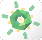 Renseignements sur la COVID-19 (coronavirus)